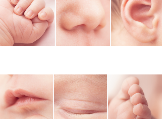 Baby showing senses: touch, smell, taste sight hearing