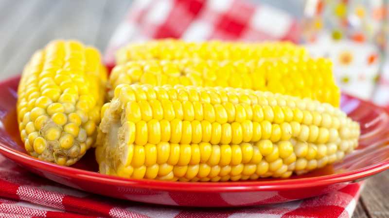 Three corn cobs on a red plate